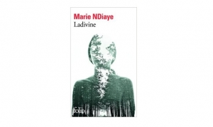 Marie Ndiaye - Ladivine