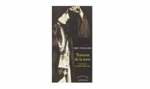 Eric Vuillard - Tristesse de la terre