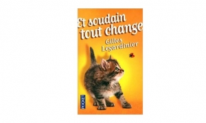 Gilles Legardinier - Et soudain tout change