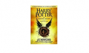 j-k-rowlings-harry-potter-et-lenfant-maudit-parties-1-et-2